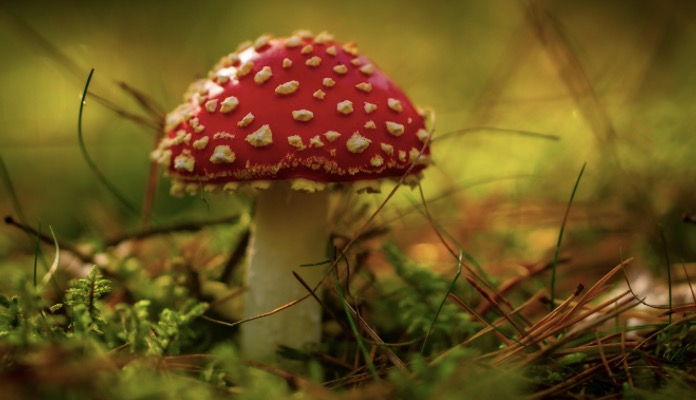 Týždenný horoskop pre všetky znamenia (12. – 18. október)